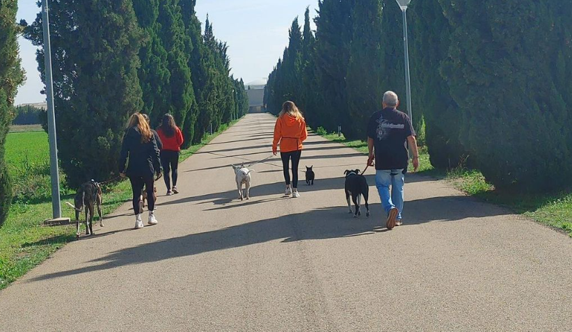 paseo organizado por Sonrisa Animal Utebo