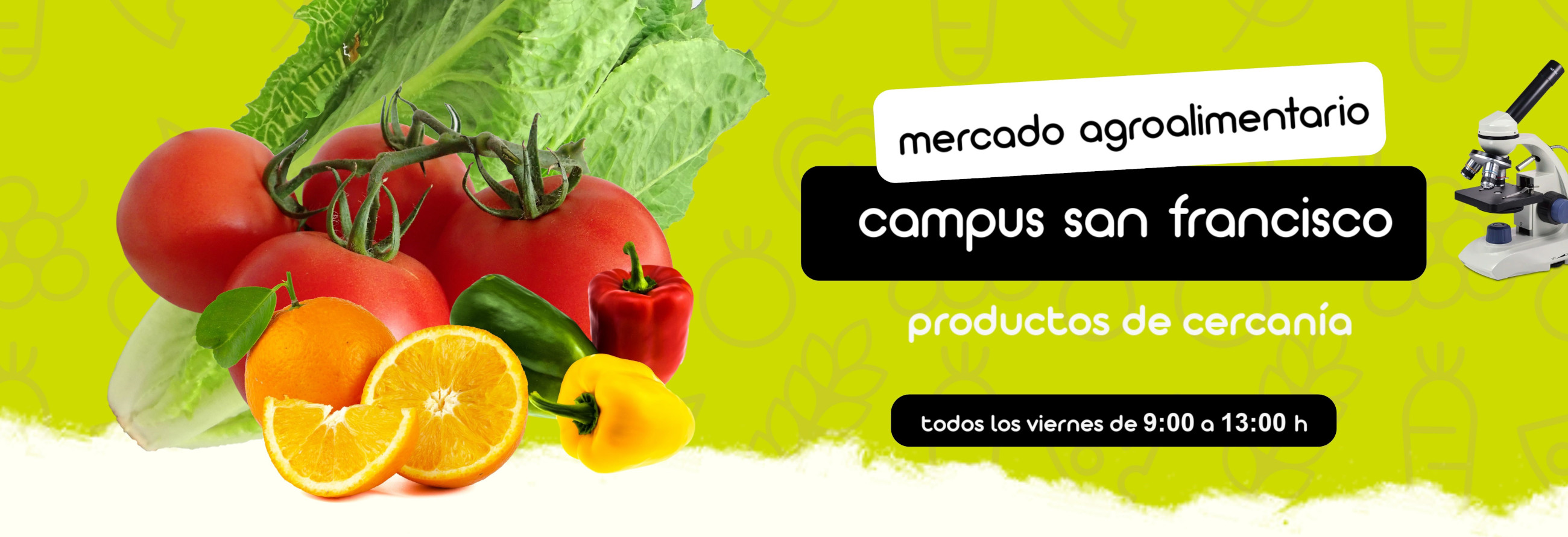 Banner mercado verano