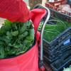 Mercado de Agroalimentario 2
